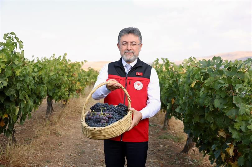 BAKAN YUMAKLI: “BU SENE 3 MİLYON 850 BİN TONLUK BİR ÜZÜM ÜRETİMİ GERÇEKLEŞMİŞ OLACAK”